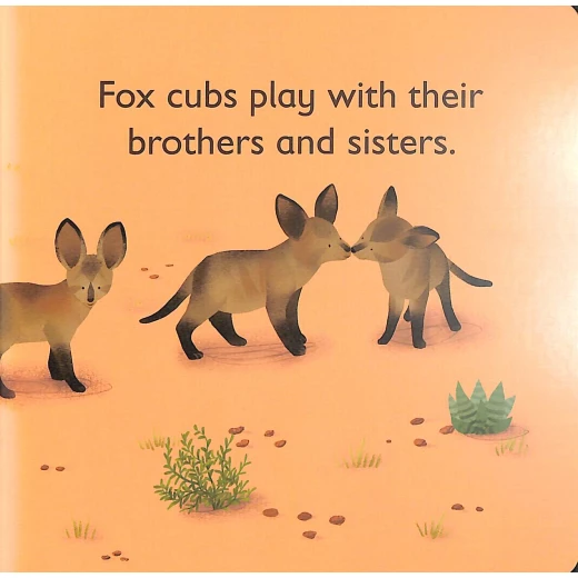 DK Books Publisher Book: ( F ) Is For Fox - DK Books - Image 2