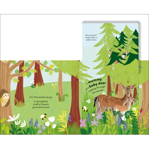 DK Books Into The Woods Toddler Board Book: Peek Through Flaps Nature Exploration for Kids - DK Books - Image 2