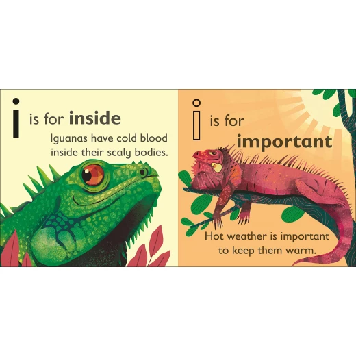 ( i - للإغوانا ) -كتاب من كتب دي كي للنشر - كتب دي كاي - Image 2