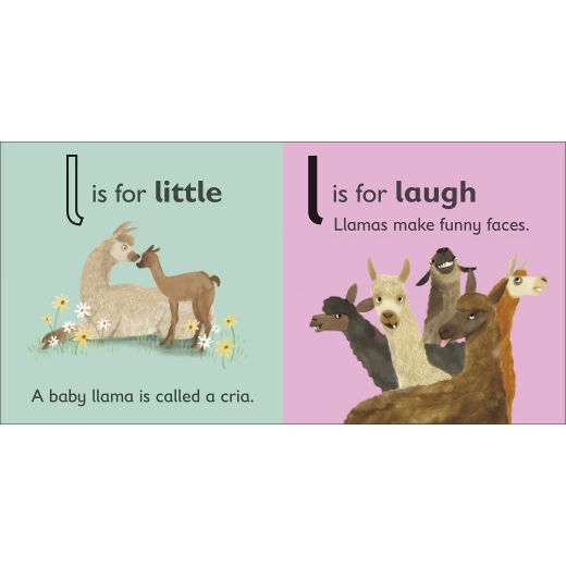( L - للاما ) -كتاب من كتب دي كي للنشر - كتب دي كاي - Image 2