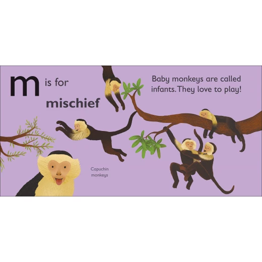 ( M - للقرد ) -كتاب من كتب دي كي للنشر - كتب دي كاي - Image 2