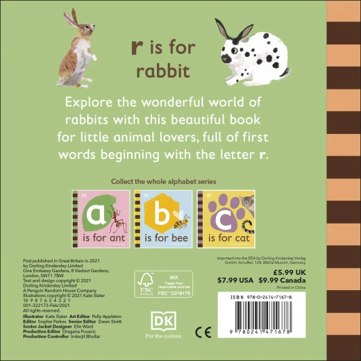 ( R - للارنب) - كتاب من كتب دي كي للنشر - كتب دي كاي - Image 2