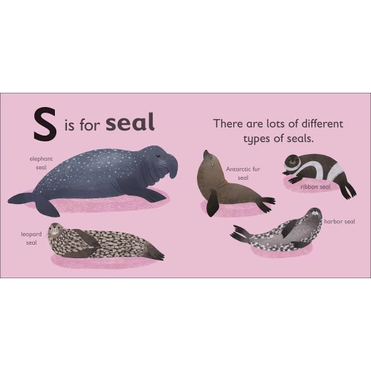 ( S - للفقمة) - كتاب من كتب دي كي للنشر - كتب دي كاي - Image 2