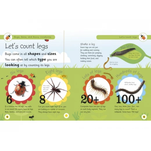 Dk Books Publisher Bugs, Bees And Other Buzzy Creatures Book - DK Books - Image 2