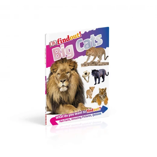 DK Books Publisher Findout! Big Cats Book - DK Books - Image 3