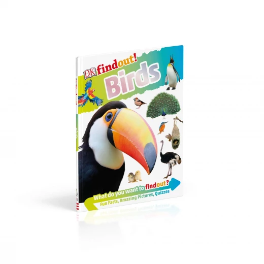 كتاب اكتشف الطيور! من كتب دي كي للنشر - كتب دي كاي - Image 3