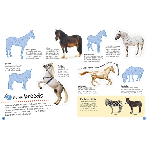 كتاب ملصقات DK Books Horses & Ponies للأطفال: متعة تعليمية وملصقات قابلة لإعادة الاستخدام - كتب دي كاي - Image 2