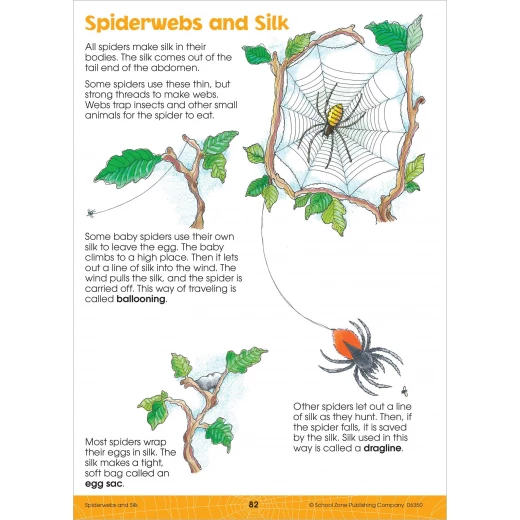 School Zone Book: Big Science Grades 2-3 Workbook - School Zone - Image 2