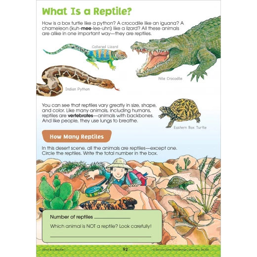 School Zone Book: Big Science Grades 2-3 Workbook - School Zone - Image 4
