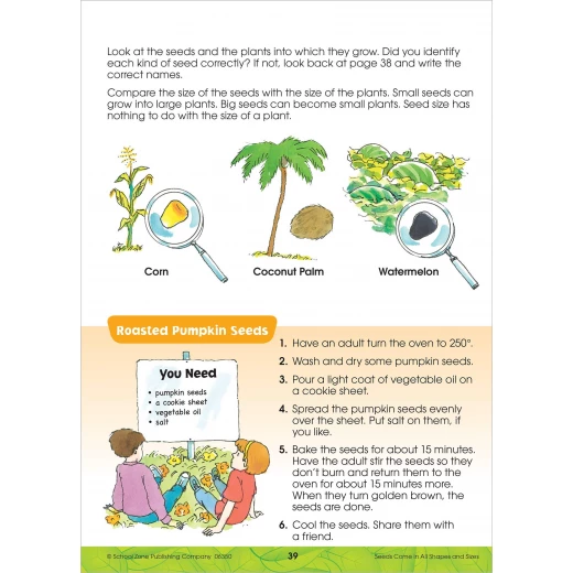 School Zone Book: Big Science Grades 2-3 Workbook - School Zone - Image 3