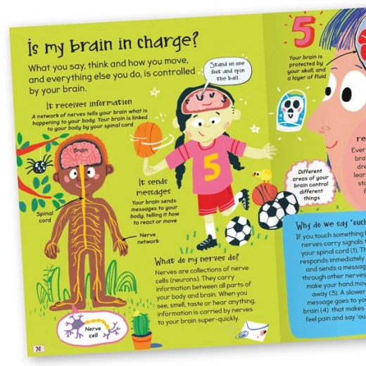 Miles Kelly - Curious Questions & Answers About My Body - مايلز كيلي - Image 7