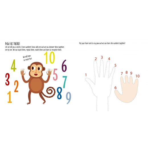 كتاب مونتيسوري كتابي الأول للأرقام باللغة الانجليزية  من دار المعارف - دار المعارف - Image 2