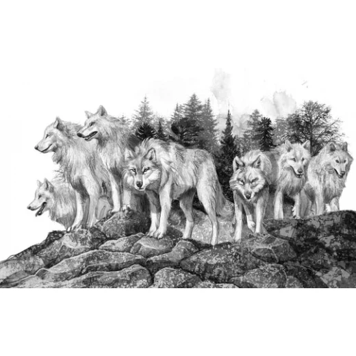 Dar Ashjar Story: A wolf called Wander - Dar Ashjar - Image 3