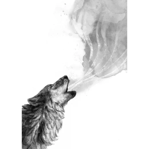Dar Ashjar Story: A wolf called Wander - Dar Ashjar - Image 4
