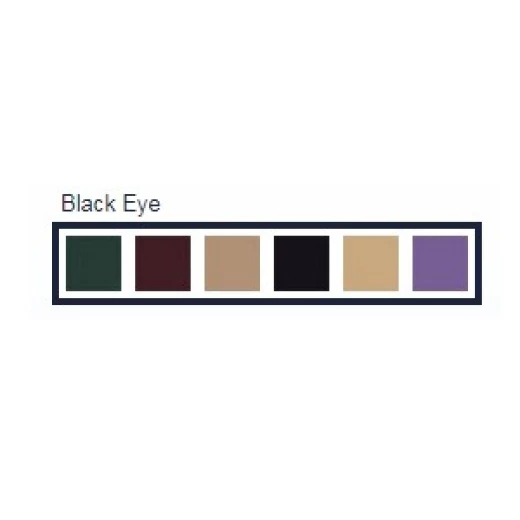 خافي عيوب, 6 الوان من كرايولان Black eye - كريولان - Image 3