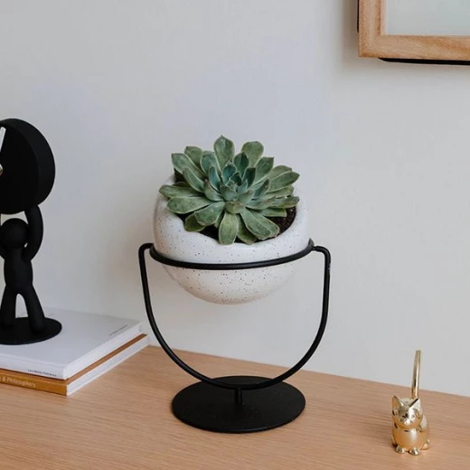 Umbra Plant Holder Pot, White - Umbra - Image 5