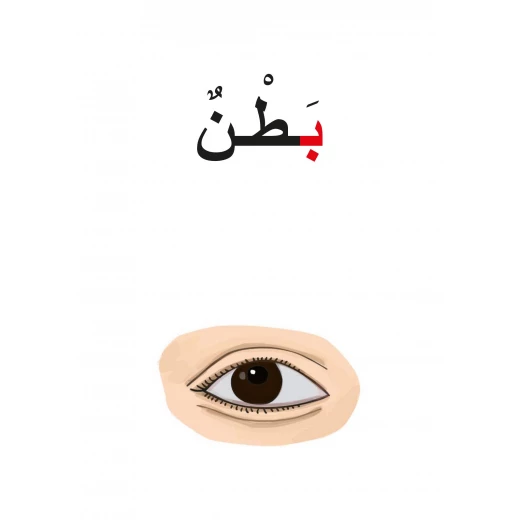 كتاب أ ب ت, جسم الإنسان من دار سما - دار سما - Image 2