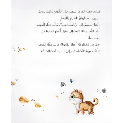 قطة الخزف من دار المنهل - دار المنهل - Image 2