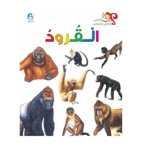 اسئلتي واجوبتي الاولى: القرود من دار المنهل اسئلتي واجوبتي الاولى: القرود من دار المنهل