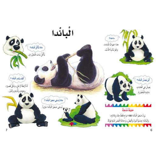 اسئلتي واجوبتي الاولى: الحيوانات البرية من دار المنهل - دار المنهل - Image 3