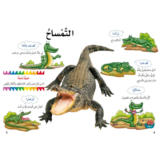 اسئلتي واجوبتي الاولى: الزواحف والبرمائيات من دار المنهل - دار المنهل - Image 2