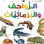 اسئلتي واجوبتي الاولى: الزواحف والبرمائيات من دار المنهل - دار المنهل