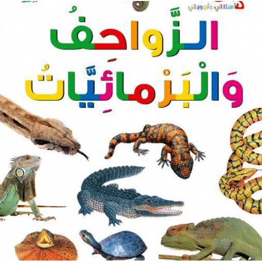 اسئلتي واجوبتي الاولى: الزواحف والبرمائيات من دار المنهل اسئلتي واجوبتي الاولى: الزواحف والبرمائيات من دار المنهل