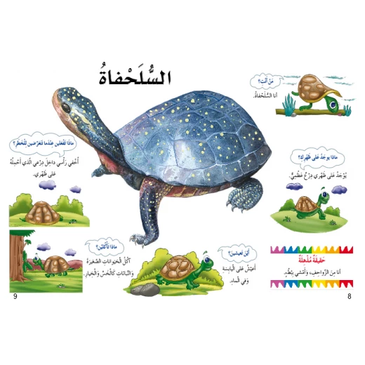 اسئلتي واجوبتي الاولى: الزواحف والبرمائيات من دار المنهل - دار المنهل - Image 4