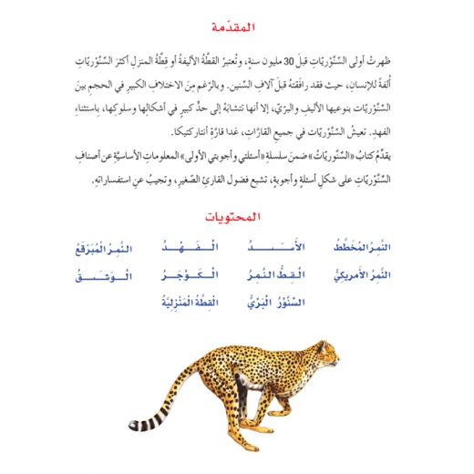 اسئلتي واجوبتي الاولى: السنوريات من دار المنهل - دار المنهل - Image 5