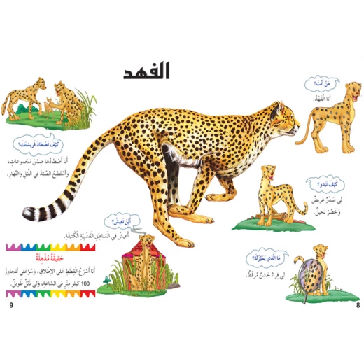 اسئلتي واجوبتي الاولى: السنوريات من دار المنهل - دار المنهل - Image 2