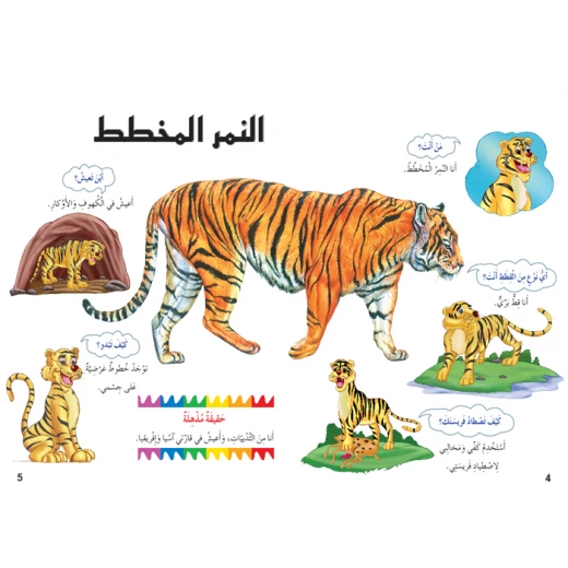 اسئلتي واجوبتي الاولى: السنوريات من دار المنهل - دار المنهل - Image 3