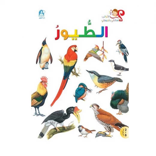 اسئلتي واجوبتي الاولى: الطيور من دار المنهل اسئلتي واجوبتي الاولى: الطيور من دار المنهل