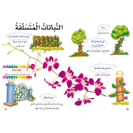 اسئلتي واجوبتي الاولى: النباتات من دار المنهل - دار المنهل - Image 2