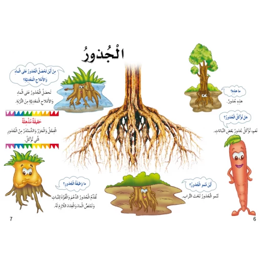 اسئلتي واجوبتي الاولى: النباتات من دار المنهل - دار المنهل - Image 4
