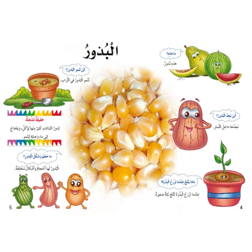 اسئلتي واجوبتي الاولى: النباتات من دار المنهل - دار المنهل - Image 5