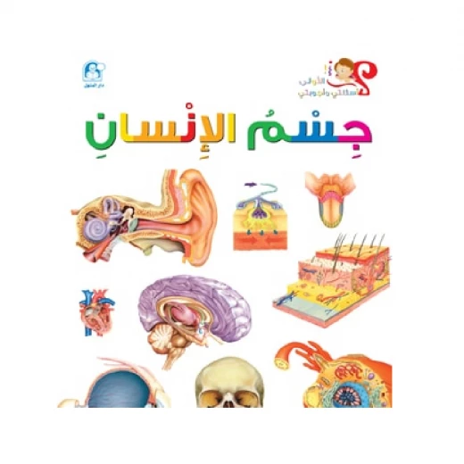 اسئلتي واجوبتي الاولى: جسم الانسان من دار المنهل اسئلتي واجوبتي الاولى: جسم الانسان من دار المنهل