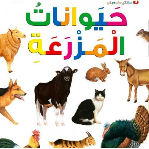 اسئلتي واجوبتي الاولى: حيوانات المزرعة من دار المنهل اسئلتي واجوبتي الاولى: حيوانات المزرعة من دار المنهل