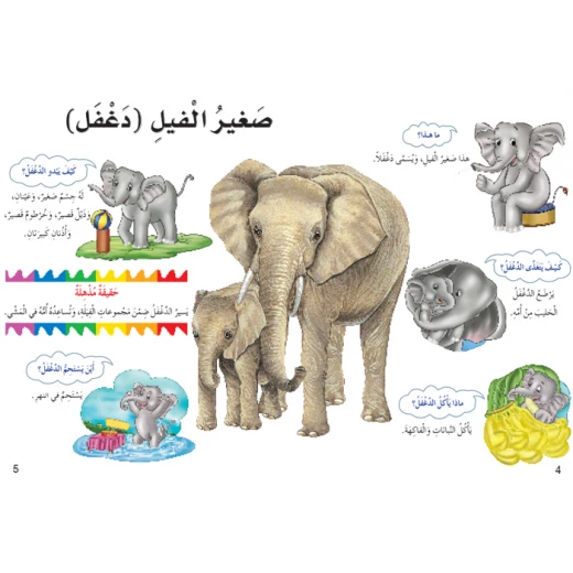 اسئلتي واجوبتي الاولى: صغار الحيوانات من دار المنهل - دار المنهل - Image 2