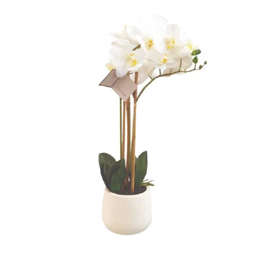 Nova home magnolia flower arrangement pot, white color Nova home magnolia flower arrangement pot, white color