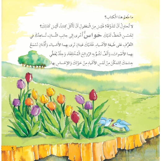 قصص:ماذا تعرف عن:الحواس الخمسة من دار المنهل - دار المنهل - Image 4