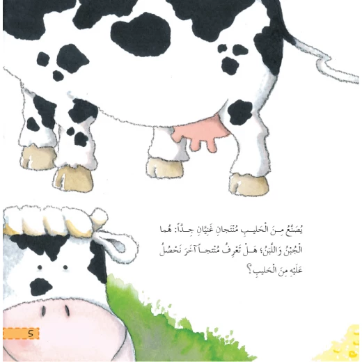 Dar Al Manhal Stories: What Do You Know About: The Story Of Natural And Manufactured Materials - Dar Al Manhal - Image 2