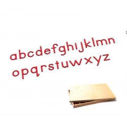 Edu Fun Montessori Language : Movable English Letters