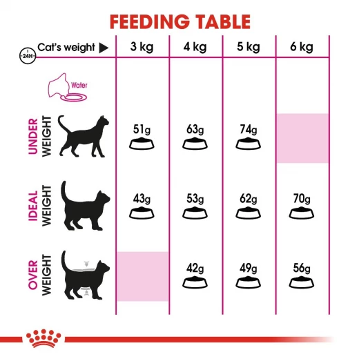 Royal Canin Exigent Cats Food, 400 Gram - Royal Canin - Image 4