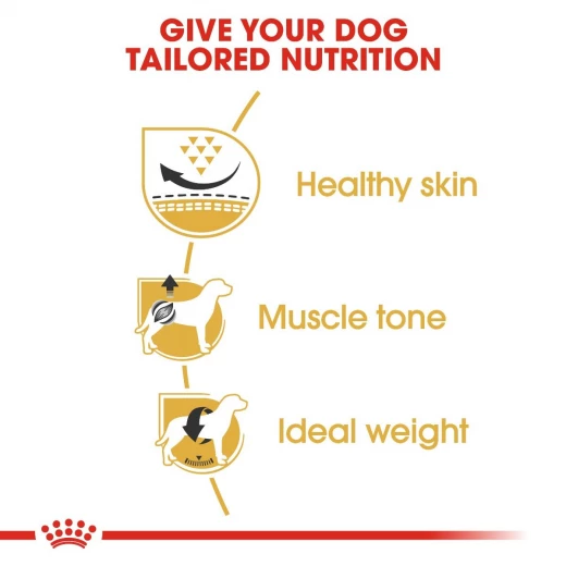 Royal Canin Pug Adult Dog Food, 1.5 Kg - Royal Canin - Image 4