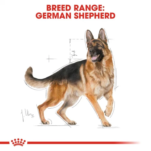 Royal Canin German Shepherd Dog Food, 11 Kg - Royal Canin - Image 3