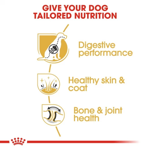 Royal Canin German Shepherd Dog Food, 11 Kg - Royal Canin - Image 4