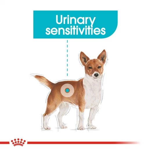 Royal Canin Mini Urine Care Dog Food, 3 Kg - Royal Canin - Image 3