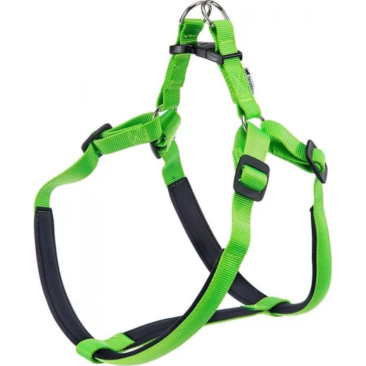 حزام دايتونا قابل للتعديل مع بطانة داخلية, باللون الاخضر فيربلست حزام دايتونا قابل للتعديل مع بطانة داخلية, باللون الاخضر فيربلست