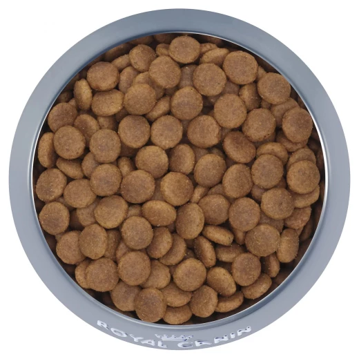 Royal Canin Dog Dry Food, Medium Adult, 15kg - Royal Canin - Image 2