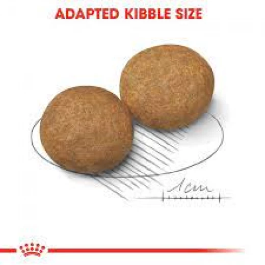 Royal Canin Adult Dog, Medium, 4KG - Royal Canin - Image 3